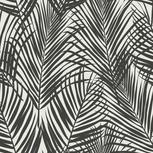 Fifi Black Palm Frond Wallpaper by ESTA Home