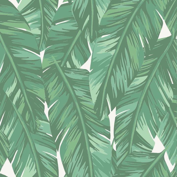 Dumott Green Tropical Leaves Wallpaper by ESTA Home Design Department Covers about 56.4 square feet 20.5-in by 33-ft long roll Unpasted 20.9 - Fabric Carolina -