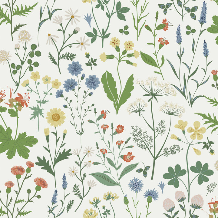 Fiore Green Wildflowers Wallpaper by ESTA Home Design Department Covers about 57.5 square feet 20.9-in by 33-ft long roll Unpasted 20.9 - Fabric Carolina -