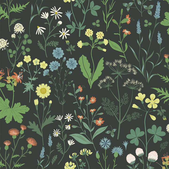 Letitia Black Summer Meadows Wallpaper by ESTA Home Design Department Covers about 57.5 square feet 20.9-in by 33-ft long roll Unpasted 20.9 - Fabric Carolina -