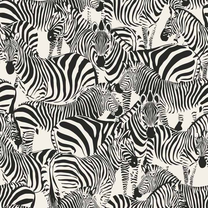 Jemima Black Zebra Wallpaper by Origin Design Department Covers about 56.4 square feet 20.5-in by 33-ft long roll Unpasted 20.9 - Fabric Carolina -