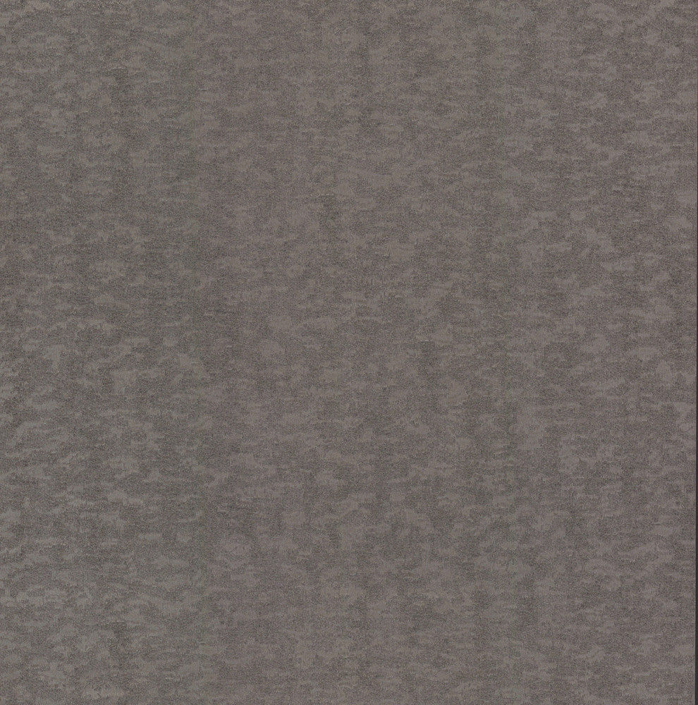Weathered Cypress Silver Wallpaper by Antonina Vella Antonina Vella Dazzling Dimensions Volume II Covers about 60.8 square feet 27-in by 27-ft long roll Unpasted 20.88 - Fabric Carolina -