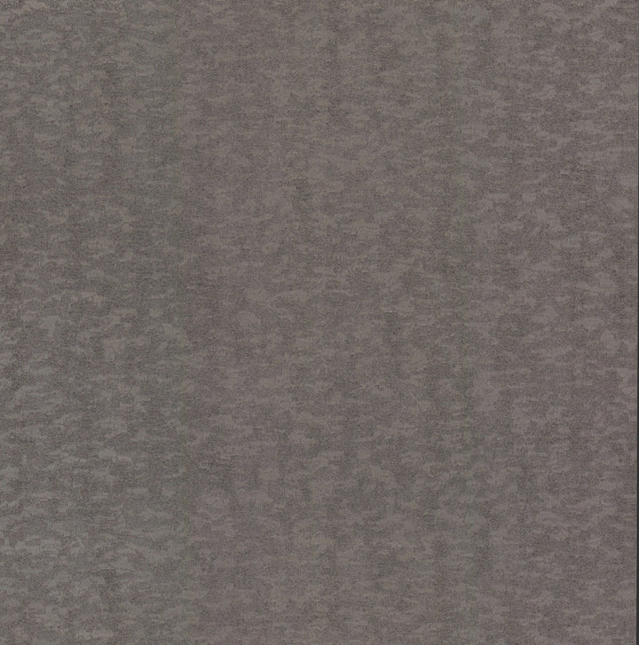 Weathered Cypress Silver Wallpaper by Antonina Vella Antonina Vella Dazzling Dimensions Volume II Covers about 60.8 square feet 27-in by 27-ft long roll Unpasted 20.88 - Fabric Carolina -
