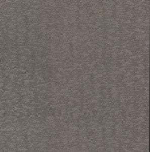 Weathered Cypress Silver Wallpaper by Antonina Vella