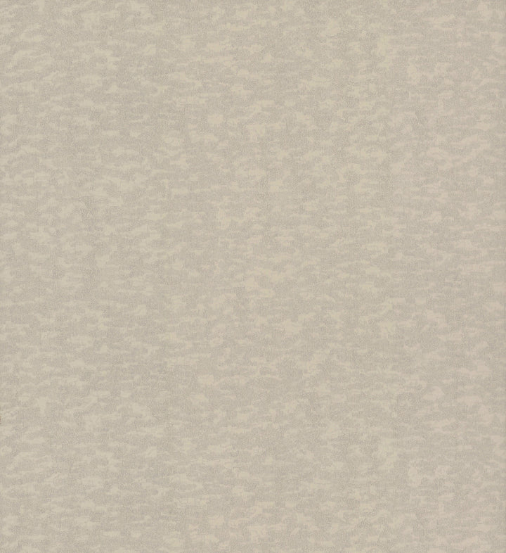 Weathered Cypress Taupe Wallpaper by Antonina Vella Antonina Vella Dazzling Dimensions Volume II Covers about 60.8 square feet 27-in by 27-ft long roll Unpasted 20.88 - Fabric Carolina -
