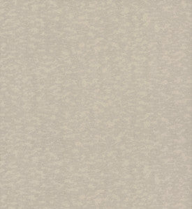 Weathered Cypress Taupe Wallpaper by Antonina Vella
