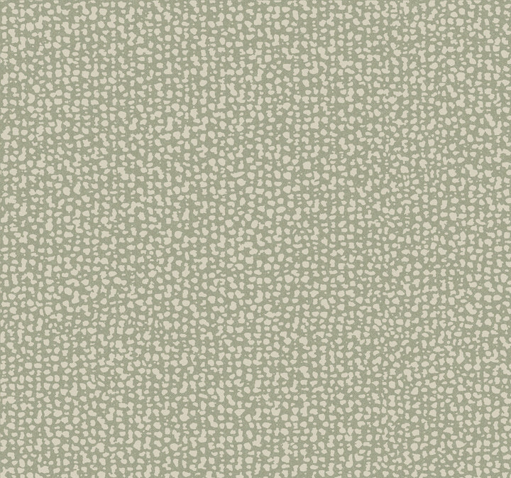 Galaxies Green Wallpaper by Antonina Vella Antonina Vella Dazzling Dimensions Volume II Covers about 60.8 square feet 27-in by 27-ft long roll Unpasted 25.25 - Fabric Carolina -
