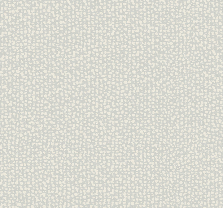 Galaxies Grey Wallpaper by Antonina Vella Antonina Vella Dazzling Dimensions Volume II Covers about 60.8 square feet 27-in by 27-ft long roll Unpasted 25.25 - Fabric Carolina -