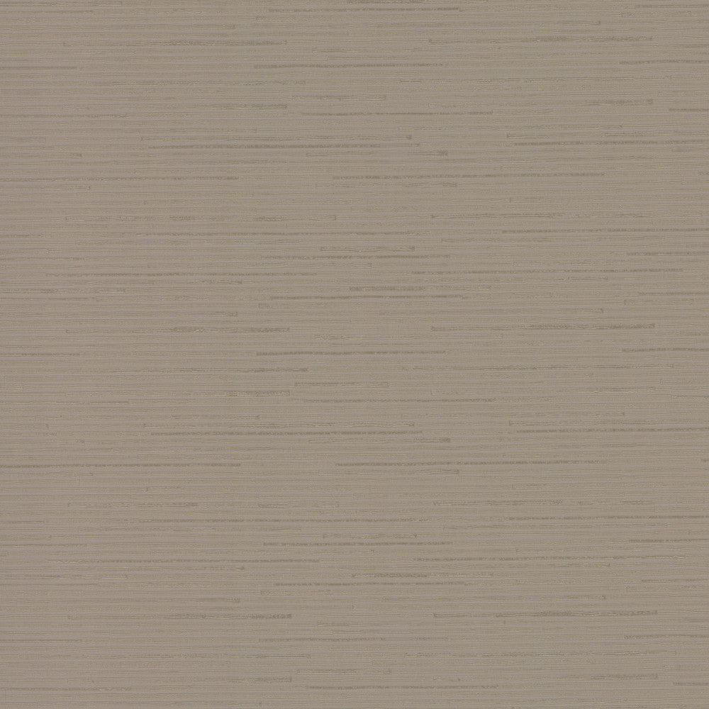 Ribbon Bamboo Silver Metallic Wallpaper by Antonina Vella Antonina Vella Dazzling Dimensions Volume II Covers about 60.8 square feet 27-in by 27-ft long roll Unpasted 10.44 - Fabric Carolina -