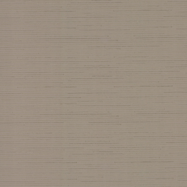 Ribbon Bamboo Silver Metallic Wallpaper by Antonina Vella Antonina Vella Dazzling Dimensions Volume II Covers about 60.8 square feet 27-in by 27-ft long roll Unpasted 10.44 - Fabric Carolina -