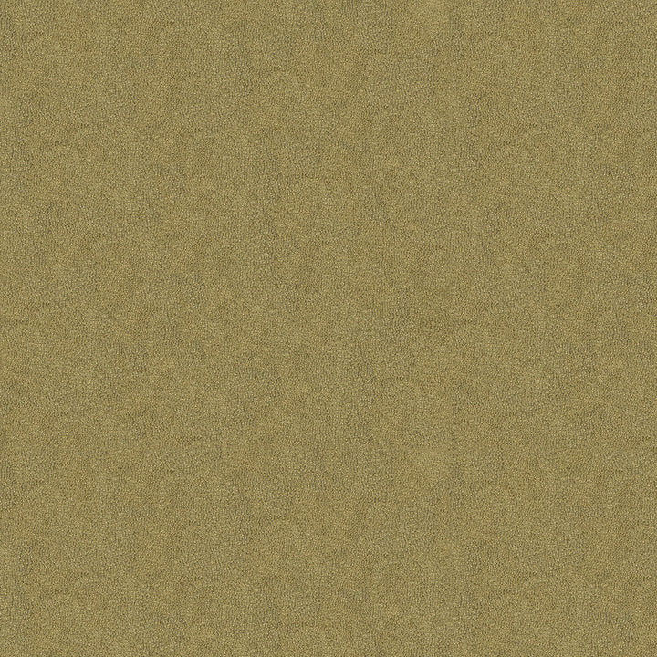 Debut Pumice by Kravet Couture Fabric NYLON - 100% United States HEAVY Horizontal: and Vertical: 54 - Fabric Carolina -