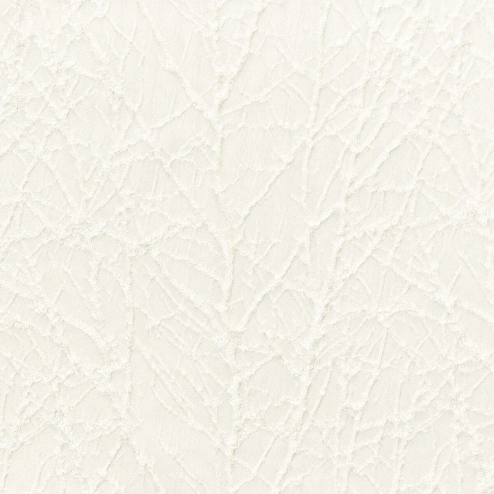 Decorum 2 Pearl by Stout Fabric COLOR MY WINDOW ALABASTER/PARCHMENT 100%POL INDIA FLAME RETARDANT-CA BULLETIN 117-SECTION E FLAME RETARDANT-U.F.A.C. CLASS 1 WYZENBEEK 30 000 DOUBLE RUB WEAR TEST (HEAVY DUTY) Horizontal: 6 and Vertical: 7 54 in - Fabric Carolina -