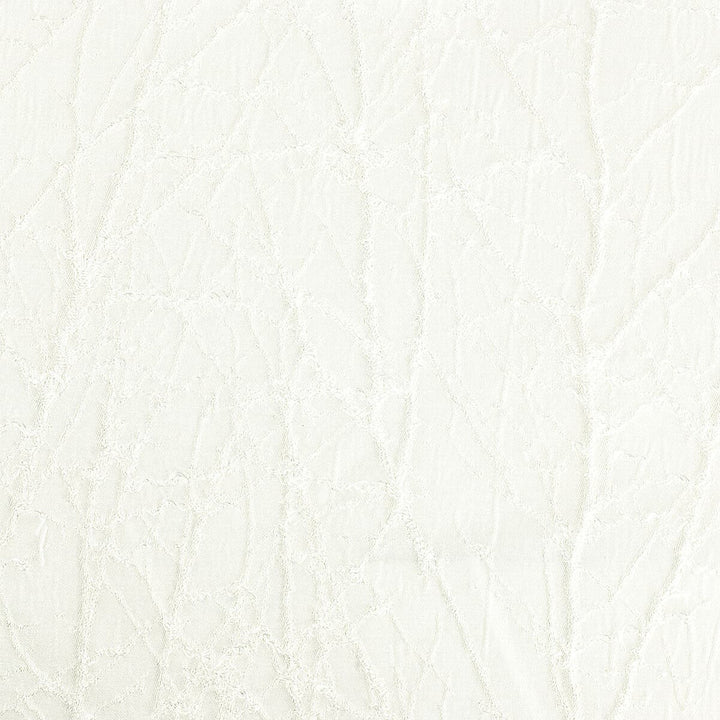 Decorum 6 Vanilla by Stout Fabric COLOR MY WINDOW FROST/ALABASTER 100%POL INDIA FLAME RETARDANT-CA BULLETIN 117-SECTION E FLAME RETARDANT-U.F.A.C. CLASS 1 WYZENBEEK 30 000 DOUBLE RUB WEAR TEST (HEAVY DUTY) Horizontal: 6 and Vertical: 7 54 in - Fabric Carolina -