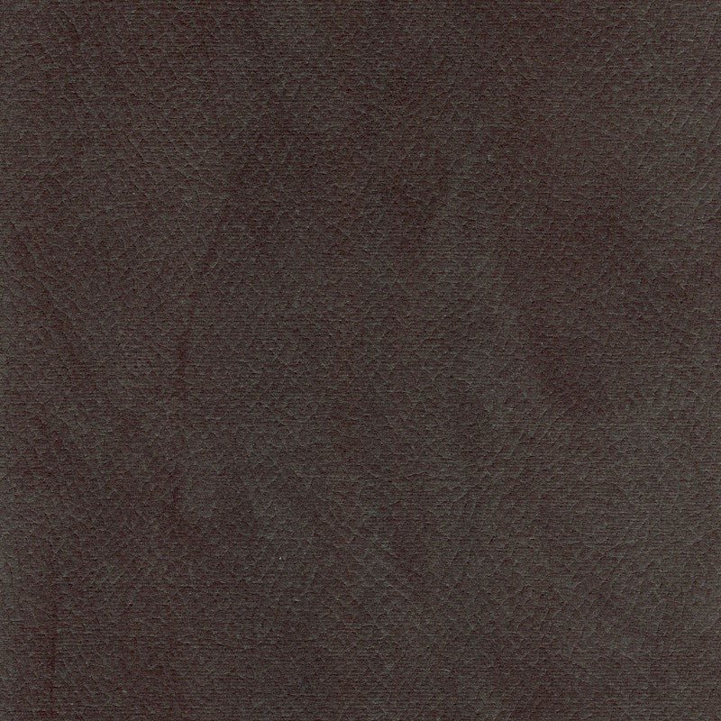 Degraw Graphite by Magnolia Fabric - 100% Poly China 95000 Horizontal: 0 and Vertical: 0 56" - Fabric Carolina -