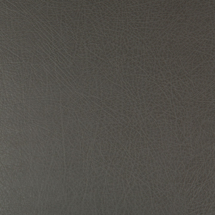 Deimos-21 by Kravet Design Fabric POLYESTER - 51%;POLYURETHANE - 49% China HEAVY Horizontal: and Vertical: 54 - Fabric Carolina -