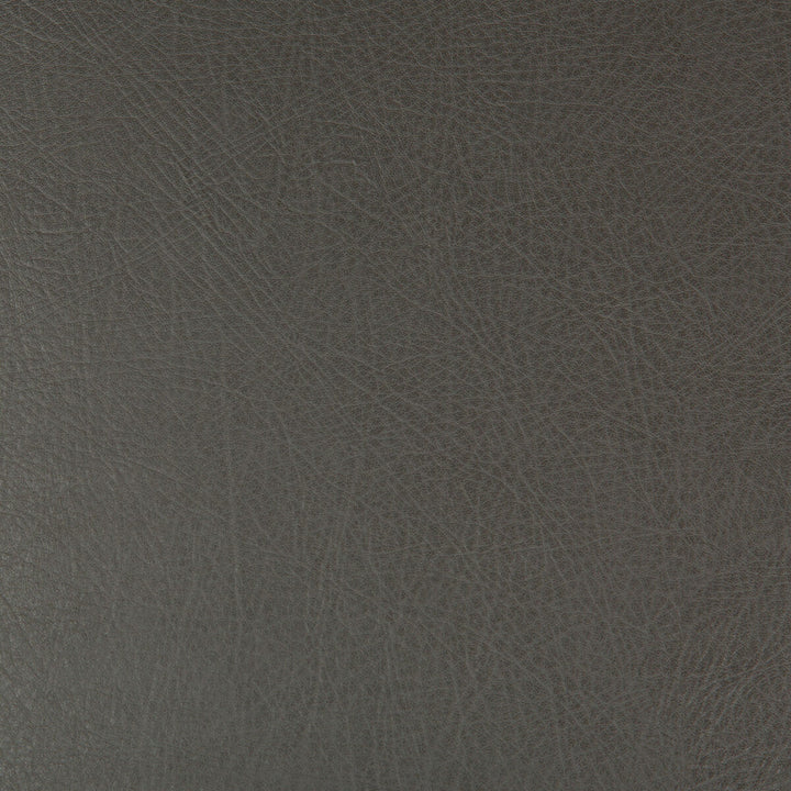Deimos-21 by Kravet Design Designer Fabric POLYESTER - 51%;POLYURETHANE - 49% China HEAVY Horizontal: and Vertical: 54 - Swanky Fabrics -