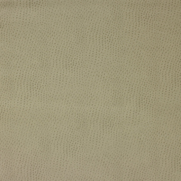 Delaney-106 by Kravet Design Fabric - POLYESTER - 55%;POLYURETHANE - 45% Korea, Republic of HEAVY Horizontal: 0 and Vertical: 0 54 - Fabric Carolina -