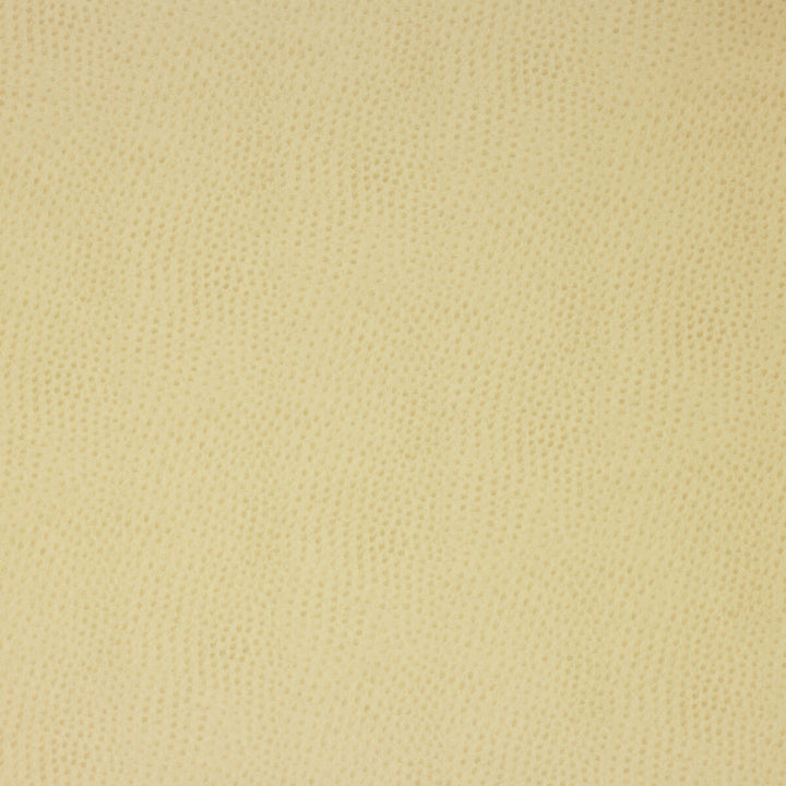 Delaney-116 by Kravet Design Fabric POLYESTER - 55%;POLYURETHANE - 45% Korea, Republic of HEAVY Horizontal: 0 and Vertical: 0 54 - Fabric Carolina -