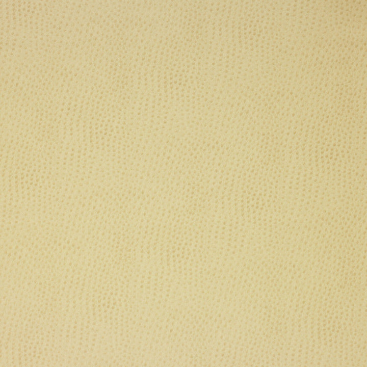 Kravet Design Delaney-116 by Kravet Design Fabric Kravet Design Fabric Kravet Design Delaney-116Fabric POLYESTER - 55%;POLYURETHANE - 45% Korea, Republic of </p><p>Repeat: H: 0, V: 0 54 - Fabric Carolina -