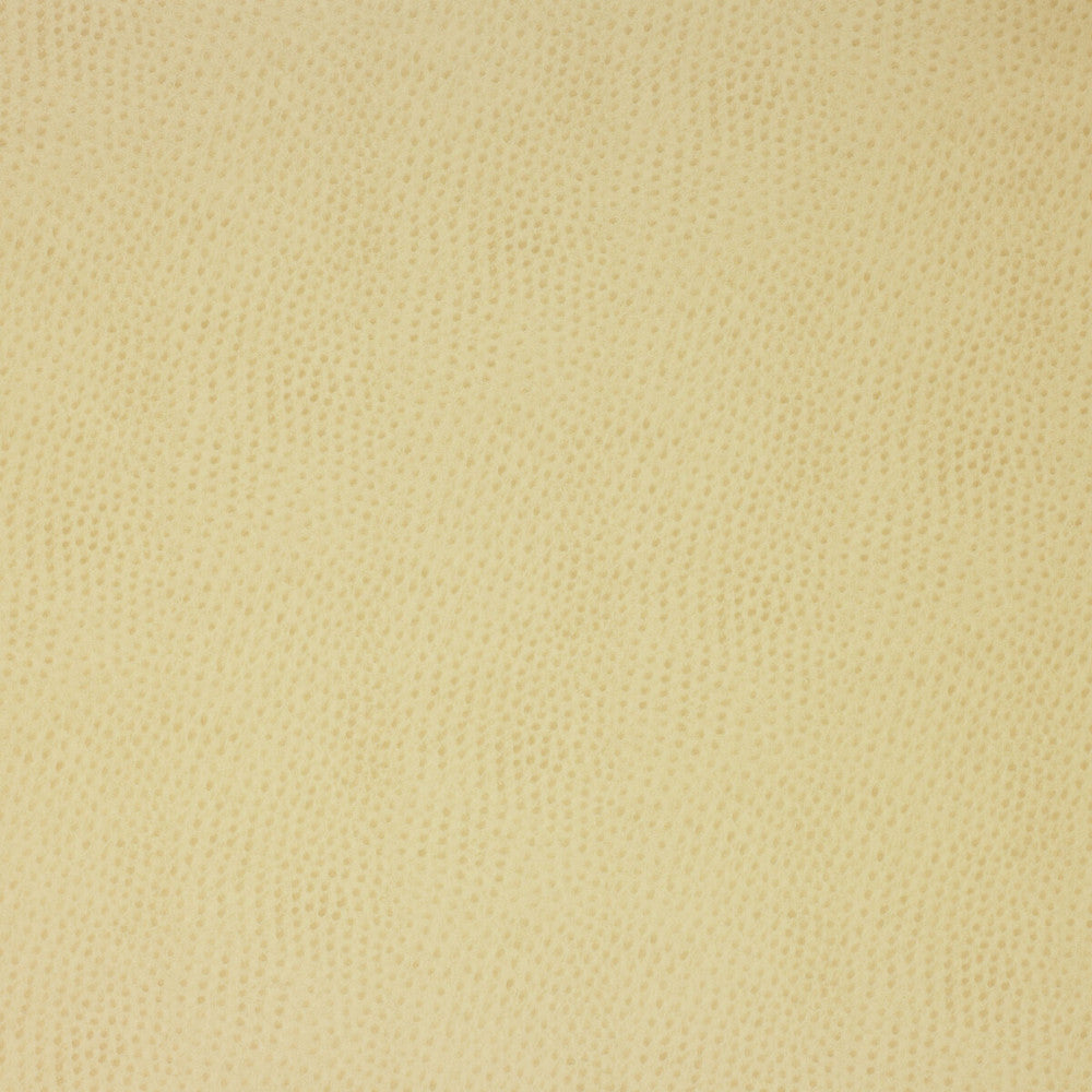 Delaney-116 by Kravet Design Fabric - POLYESTER - 55%;POLYURETHANE - 45% Korea, Republic of HEAVY Horizontal: 0 and Vertical: 0 54 - Fabric Carolina -