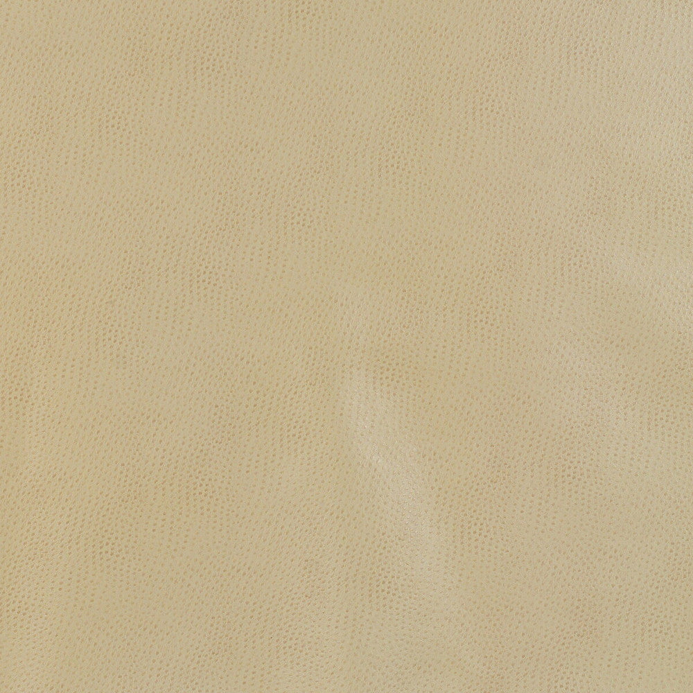 Delaney-16 by Kravet Design Fabric POLYESTER - 55%;POLYURETHANE - 45% Korea, Republic of HEAVY Horizontal: 0 and Vertical: 0 54 - Fabric Carolina -