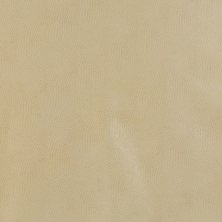Delaney-16 by Kravet Design Fabric POLYESTER - 55%;POLYURETHANE - 45% Korea, Republic of HEAVY Horizontal: 0 and Vertical: 0 54 - Fabric Carolina -