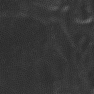 Delaney-8 by Kravet Design Fabric - POLYESTER - 55%;POLYURETHANE - 45% Korea, Republic of HEAVY Horizontal: 0 and Vertical: 0 54 - Fabric Carolina -