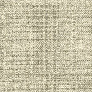 Delucia 8 Oyster by Crypton Fabric
