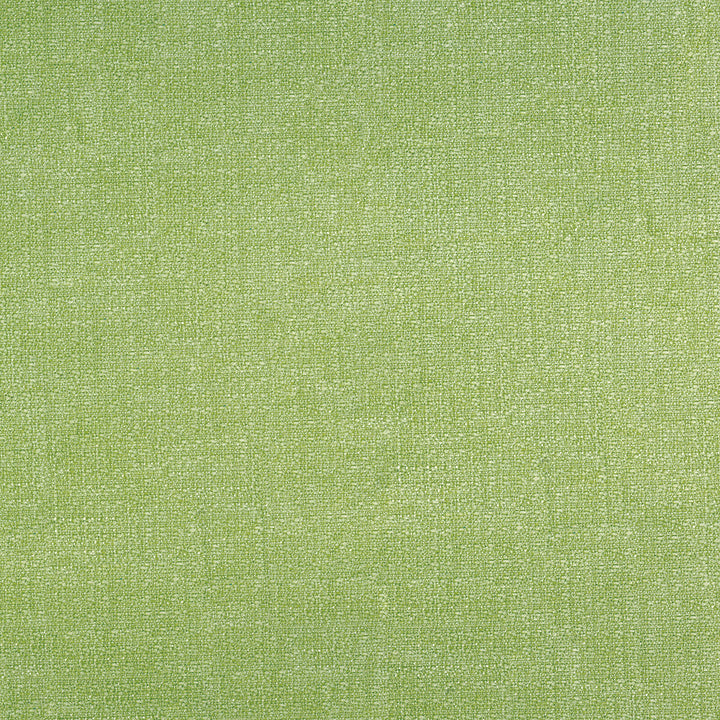Denali 202 Pear by ABBEYSHEA Fabric 94% Polyester
5% Linen
1% Nylon CN 60,000 Double Rubs (Wyzenbeek) </p><p>Repeat: Horizontal: and Vertical: 57 in. (142 cm) - Fabric Carolina -