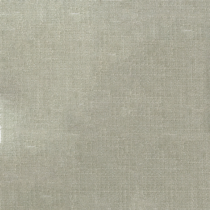 Denali 94 Platinum by ABBEYSHEA Fabric 94% Polyester
5% Linen
1% Nylon CN 60,000 Double Rubs (Wyzenbeek) </p><p>Repeat: Horizontal: and Vertical: 57 in. (142 cm) - Fabric Carolina -