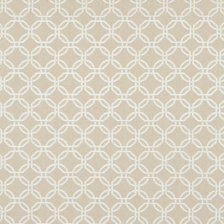 DENIER 32J8201 by JF Designer Fabric Ambrosia 40% Viscose, 30% Cotton, 30% Polyester India  Horizontal: 3.25 and Vertical: 3 54  - Swanky Fabrics -