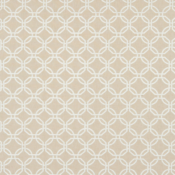 Denier 32J8201 by JF Designer Fabric Ambrosia 40% Viscose, 30% Cotton, 30% Polyester India Horizontal: 3.25 and Vertical: 3 54 - Swanky Fabrics -