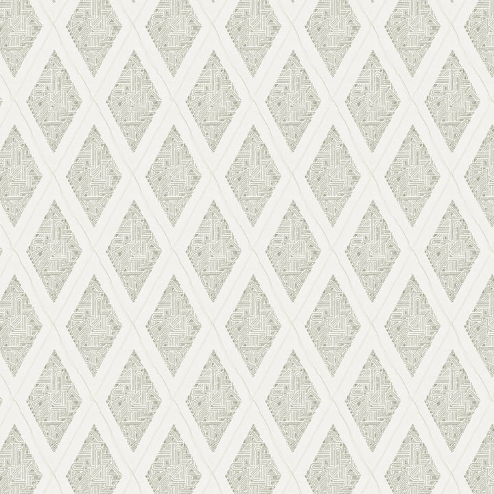 Denton 1 Fog by Aoc Fabric COMFORTABLE LIVING SHADOW/SLATE 80%SVI 20%POL INDIA Horizontal: 3.125 and Vertical: 5.875 54 in - Fabric Carolina -