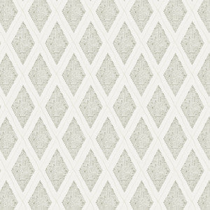 Denton 1 Fog by Aoc Fabric