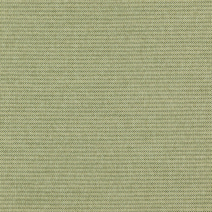 DEPUTY 76J7351 by JF Designer Fabric Winning Weaves VI - Woven Book 90% Polyester, 10% Viscose India  Horizontal:  and Vertical:  57  - Swanky Fabrics -