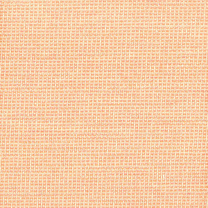 Derby 1 Shrimp by Sunbrella Fabric