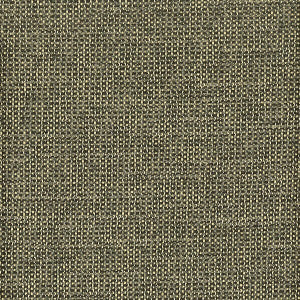Derby 3 Charcoal by Sunbrella Fabric