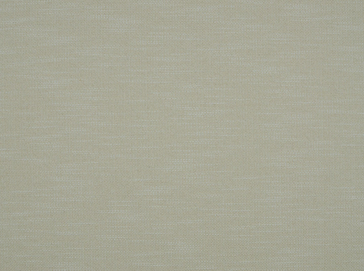 Derby 111 Ecru by Covington Fabric 100% POLYESTER China 50000 Horizontal: 1.4 and Vertical: 0.65 56 - Fabric Carolina -