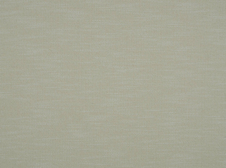 Diamondz Backed Shell Pink 170 by Covington Fabric 60%COTTON 40%POLY China 30000 Horizontal: 3.8 and Vertical: 3.8 54 - Fabric Carolina -