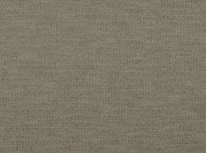 Derby 949 Cindersmoke by Covington Fabric 100% POLYESTER China 50000 Horizontal: 1.4 and Vertical: 0.65 56 - Fabric Carolina -