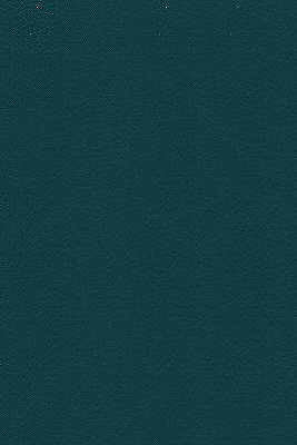 Desire-35 by Kravet Design Fabric - NYTEK - 100% Japan HEAVY Horizontal: 0 and Vertical: 0 54 - Fabric Carolina -