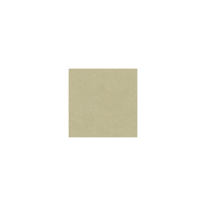 Details Shiitake by Kravet Couture Fabric Kravet Couture Fabric Details ShiitakeFabric NYLON - 100% United States </p><p>Repeat: H: 0, V: 0 54 - Fabric Carolina -