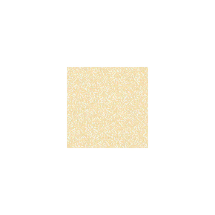 Details Ecru by Kravet Couture Fabric - NYLON - 100% United States HEAVY Horizontal: 0 and Vertical: 0 54 - Fabric Carolina -