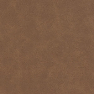 Determine 4 Cedar by Stout Fabric