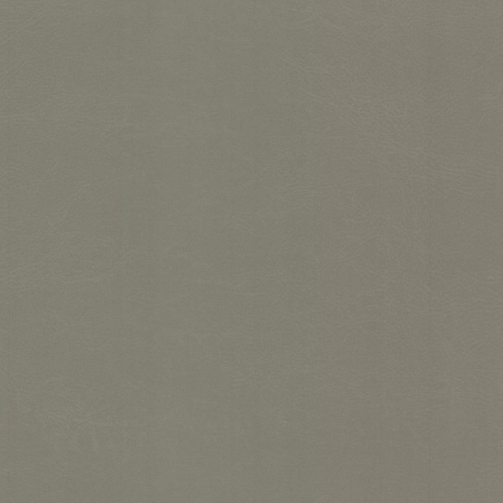 Dewdrop 1 Cement by Stout Fabric Stout Fabric Dewdrop 1 CementFabric LEATHER LOOKS V 100%PVC 2%OTH TAIWAN </p><p>Repeat: H: 0.000, V: 0.000 54 in - Fabric Carolina -