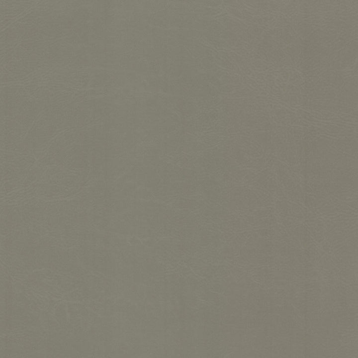 Dewdrop 1 Cement by Stout Fabric Stout Fabric Dewdrop 1 CementFabric LEATHER LOOKS V 100%PVC 2%OTH TAIWAN </p><p>Repeat: H: 0.000, V: 0.000 54 in - Fabric Carolina -