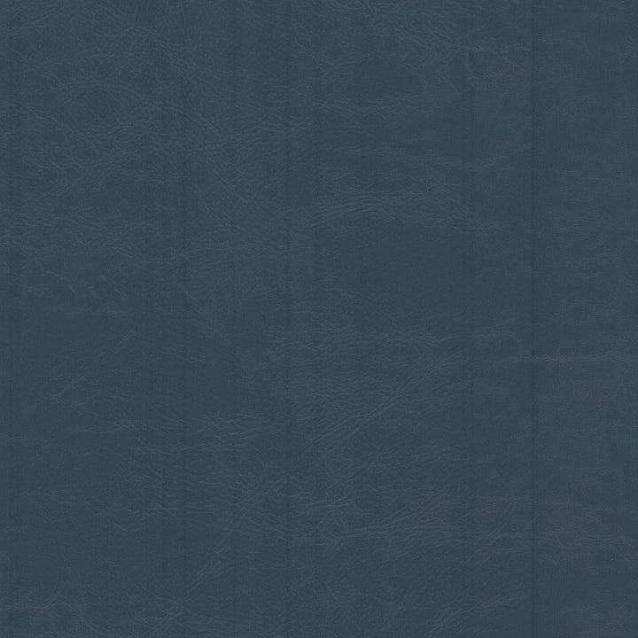 Dewdrop 2 Federal by Stout Fabric LEATHER LOOKS V 100%PVC 2%OTH TAIWAN Horizontal: 0.000 and Vertical: 0.000 54 in - Fabric Carolina -