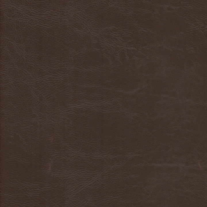 Dewdrop 3 Raisin by Stout Fabric Stout Fabric Dewdrop 3 RaisinFabric LEATHER LOOKS V 100%PVC 2%OTH TAIWAN </p><p>Repeat: H: 0.000, V: 0.000 54 in - Fabric Carolina -