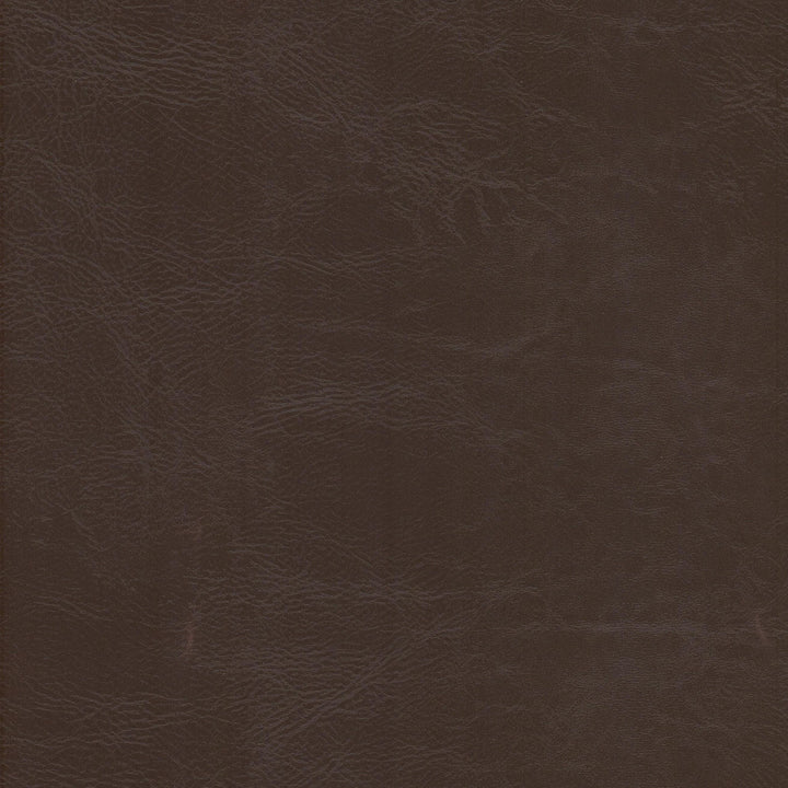 Dewdrop 3 Raisin by Stout Fabric LEATHER LOOKS V 100%PVC 2%OTH TAIWAN Horizontal: 0.000 and Vertical: 0.000 54 in - Fabric Carolina -