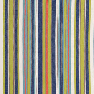 Dexter Multi by Bella-Dura Fabric